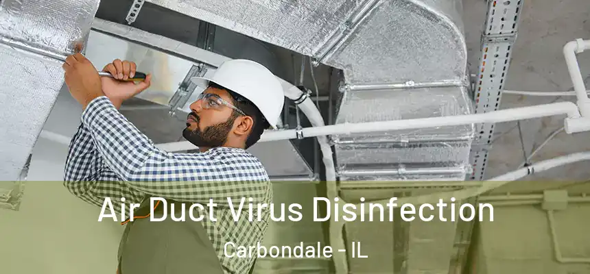 Air Duct Virus Disinfection Carbondale - IL
