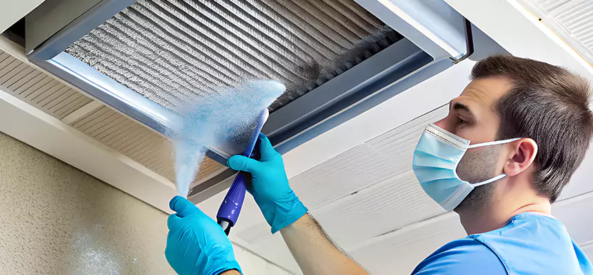 Proactive Dryer Vent & Auxiliary Duct Pollen Cleanup in Carbondale, IL