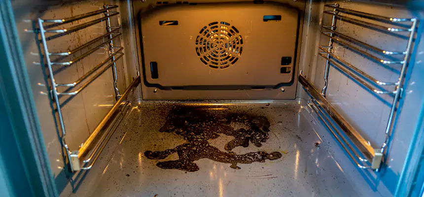 Our Dryer Vent Mold Cleaning Services in Carbondale, IL