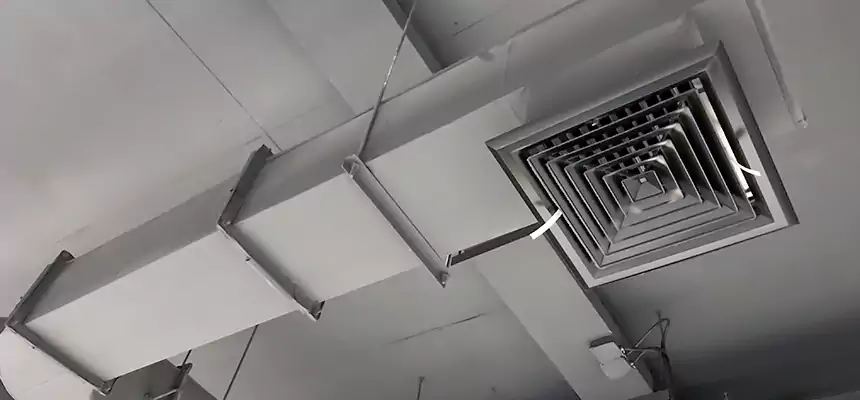 Our Pest Removal From Ducts Services in Carbondale, IL