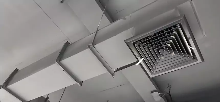 Our Rodent Droppings In Vents Services in Carbondale, IL