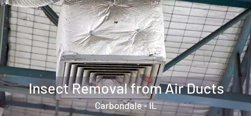  Insect Removal from Air Ducts Carbondale - IL