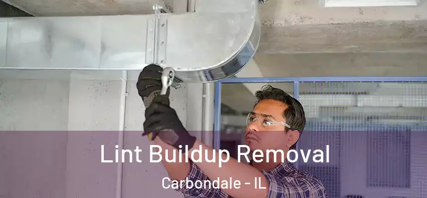 Lint Buildup Removal Carbondale - IL