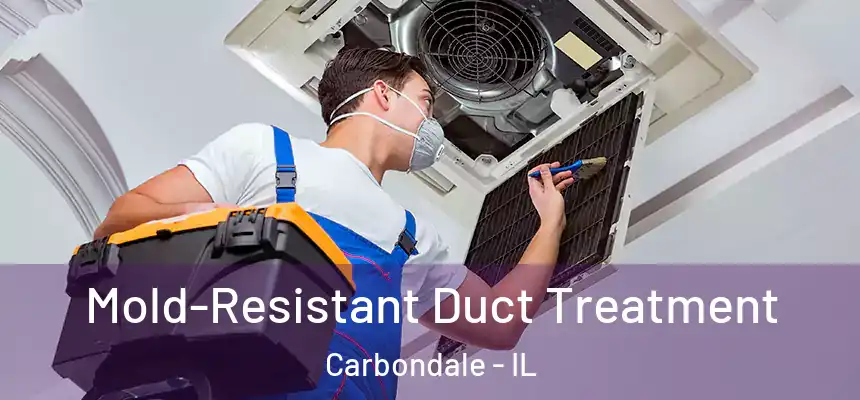 Mold-Resistant Duct Treatment Carbondale - IL