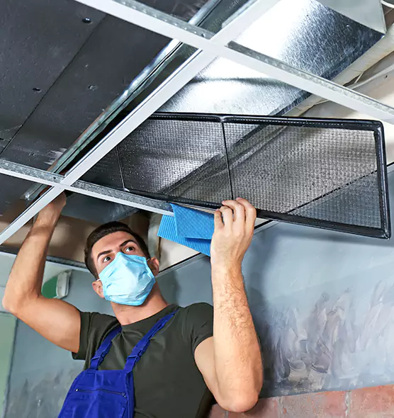 About Air Duct Bacteria Removal in Carbondale