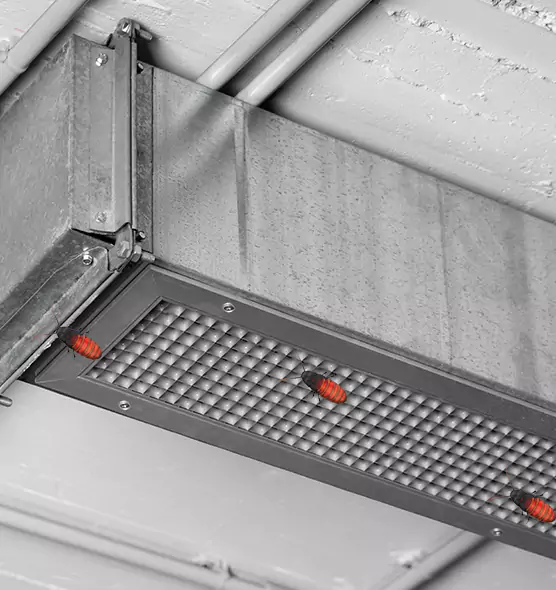 About Air Duct Cockroach Removal in Carbondale, IL