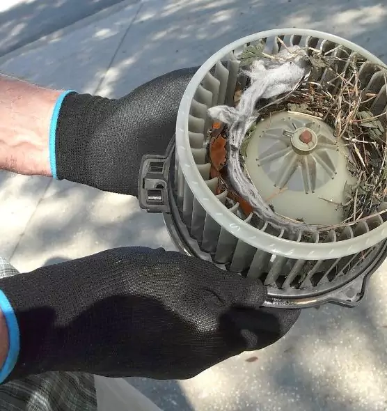 About Air Duct Rat Removal in Carbondale, IL