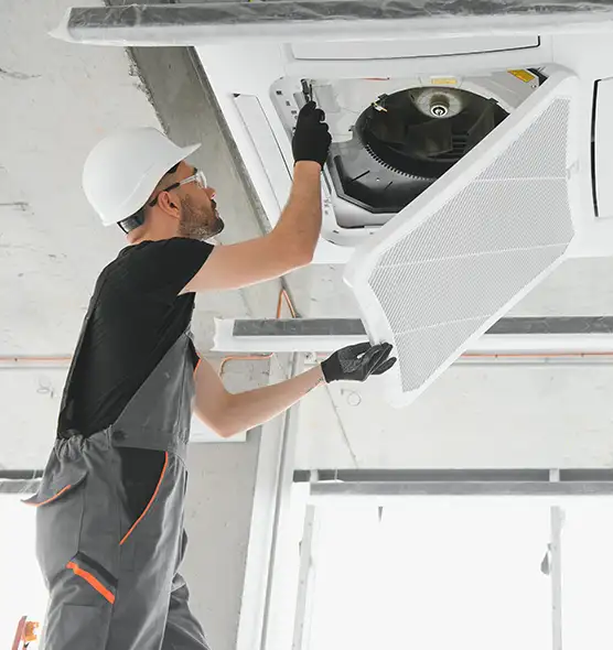 About Air Duct Rodent Removal in Carbondale, IL