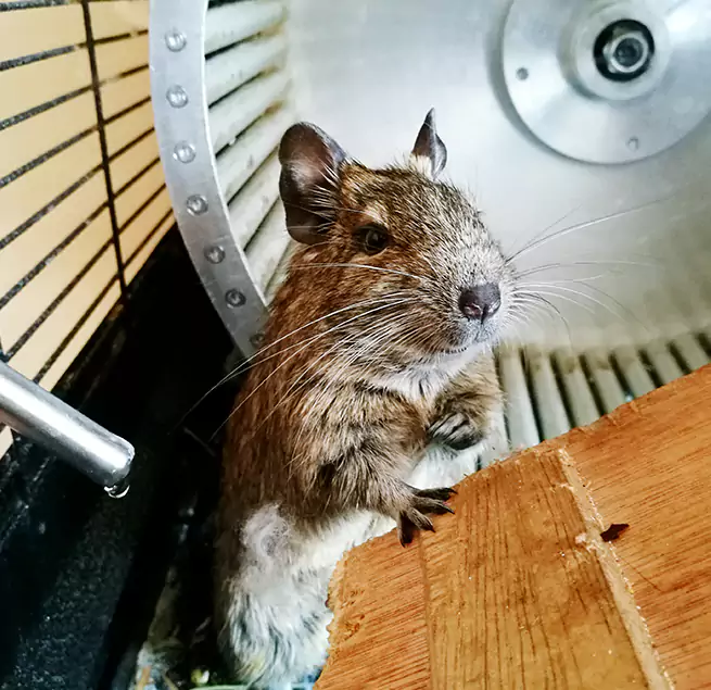 Why Homeowners & Businesses Trust Us Carbondale, IL?