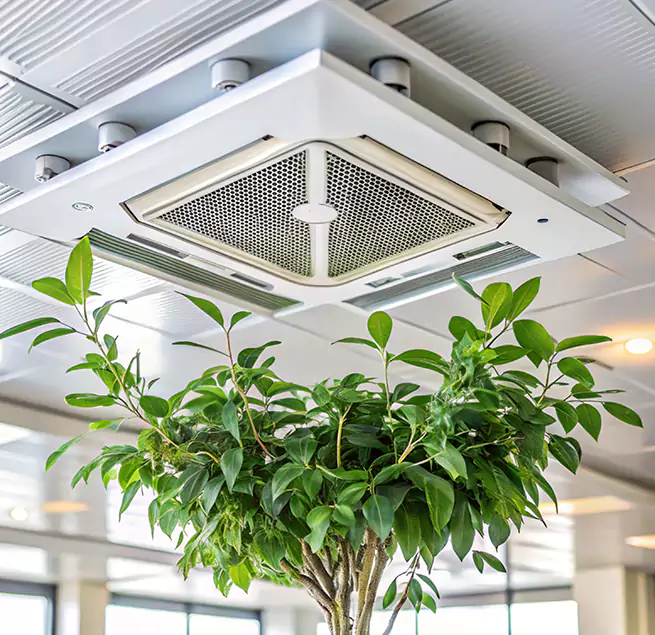 Why Homeowners & Businesses Trust Us in Carbondale, IL