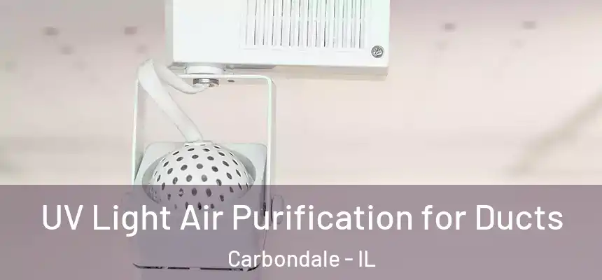  UV Light Air Purification for Ducts Carbondale - IL