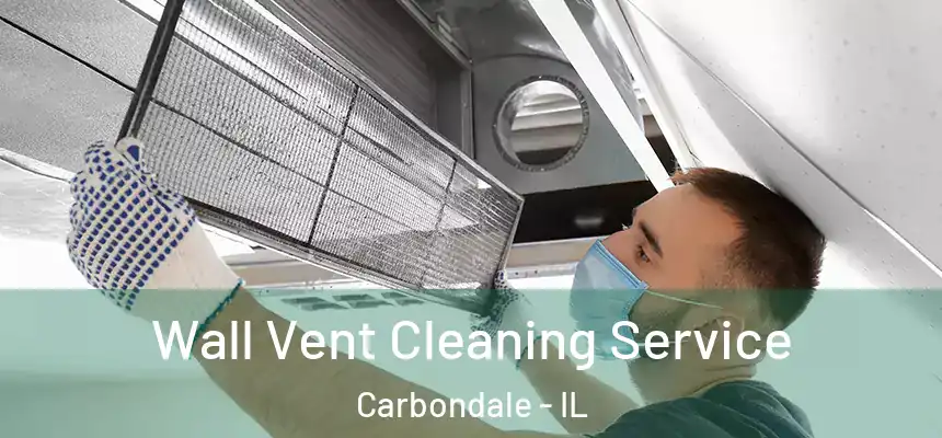  Wall Vent Cleaning Service Carbondale - IL